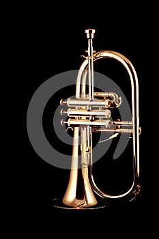 Silver fluegelhorn in night