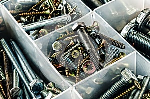 Silver and gold metal screws.