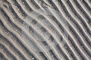 Silver gray sand on sea beach top view close up, ribbed dry sand surface pattern, wavy curved diagonal lines texture