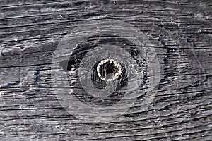 Silver-gray wooden rough board, visible structure of annual rings. Dark old wooden board. Background