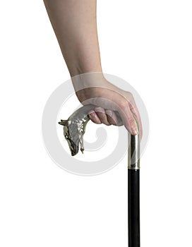 Silver handled cane