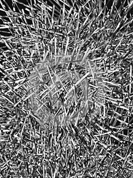 Silver interlacement 2