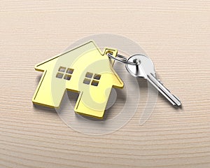 Silver key and gold house shape key ring