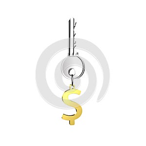 Silver key with golden dollar sign shape keyring