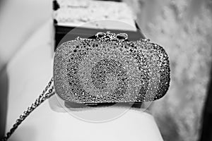 Silver Ladies Purse.