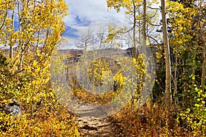 Silver Lake by Solitude and Brighton Ski resort in Big Cottonwood Canyon. Panoramic Views from the hiking and boardwalk trails of