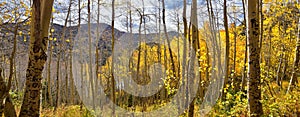 Silver Lake by Solitude and Brighton Ski resort in Big Cottonwood Canyon. Panoramic Views from the hiking and boardwalk trails of