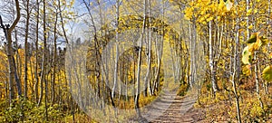 Silver Lake by Solitude and Brighton Ski resort in Big Cottonwood Canyon. Panoramic Views from the hiking and boardwalk trails of