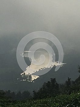 Silver lined river disappearing in thick forest