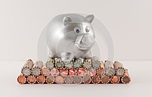 Silver Metallic Piggy Bank and Wrapped Coins