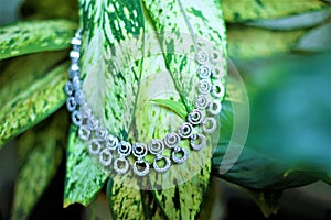 Silver necklace hanging on leaves. Dimond studded silver necklace. photo