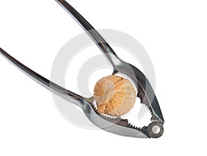 Silver nutcracker and walnut