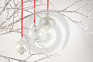 Silver Ornaments on Crystal Branches