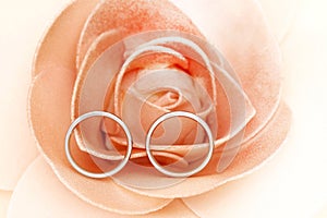 Silver pair ring inside rose