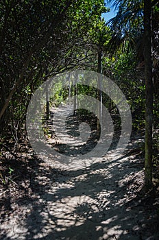 Silver Palm Trail - Bahia Honda, Florida