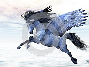 Silver Pegasus photo