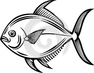 silver pomfret fish vector
