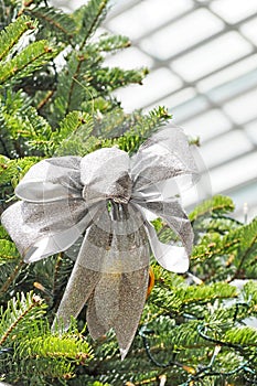 Silver ribbon bow on tree for Christmas