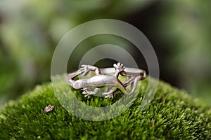 Silver ring in the shape of lizzard on green moss background