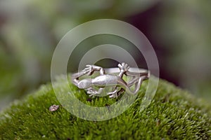 Silver ring in the shape of lizzard on green moss background