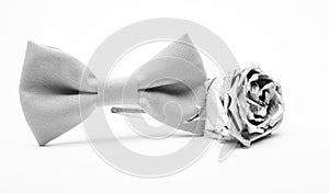 Silver rose flower and male bow tie isolated on white. Wedding accessories. Elegant look. Esthete detail. Modern formal