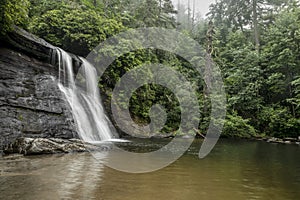 Silver Run Falls and Forest