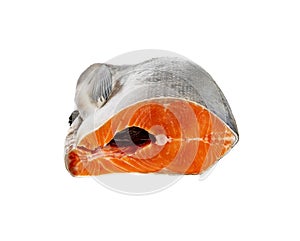 Silver salmon fish