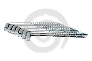 Silver screws in a raw