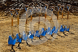 10 Silver shovel photo