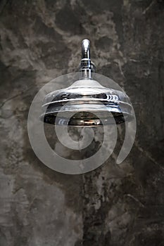 Silver showerhead