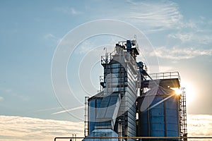 Silver silos on agro manufacturing plant for processing drying cleaning and storage of agricultural products, flour, cereals and