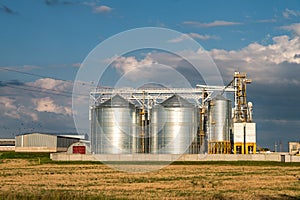 Silver silos on agro manufacturing plant for processing drying cleaning and storage of agricultural products, flour, cereals and