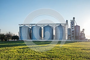 Silver silos on agro-processing plant for processing and storage of agricultural products, flour, cereals and grain