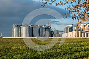 Silver silos on agro-processing plant for processing and storage of agricultural products, flour, cereals and grain