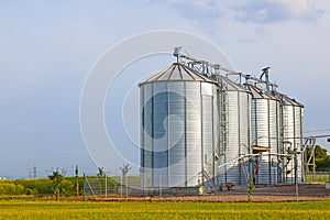 Silver silos in corn field