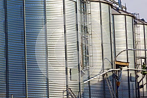 Silver silos in corn field