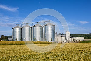 Silver silos in corn field