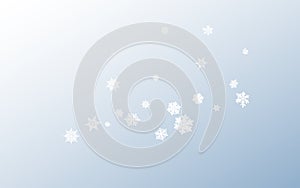 Silver Snowflake Panoramic Vector Gray