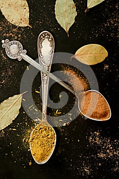 Silver spoons with spices