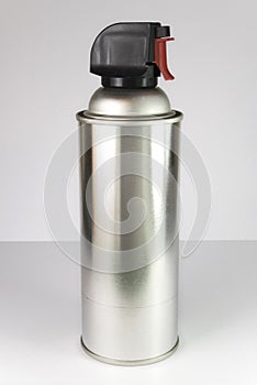 Silver Spray Bottle