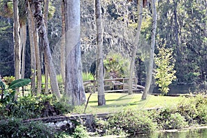 Plata muelles condición jardín 