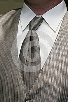 Silver Tie