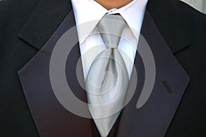 Silver tie and tux photo