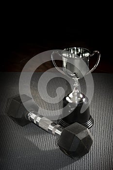 Silver trophy with metal dumbbell.