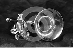 Silver Trumpet in Black & White