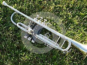 Silver trumpet on grass