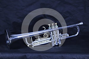 Silver Trumpet in Profile