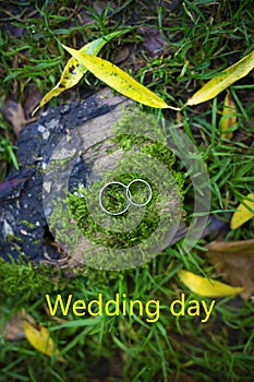 Silver wedding bands on green moss, the inscription on wedding day