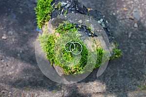 Silver wedding bands on green moss