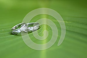 Silver Wedding Ring on a Leaf Background